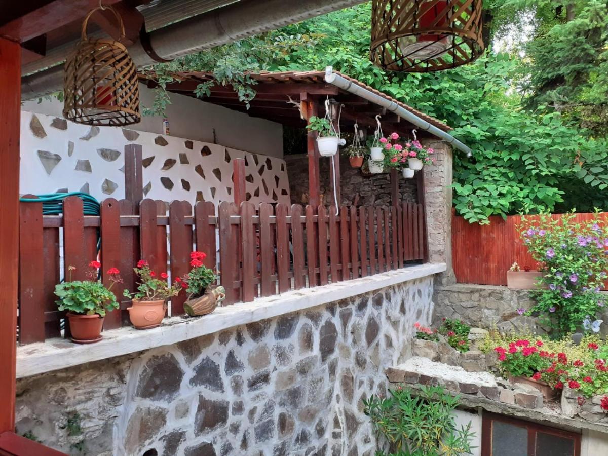 Appartamento Gloria Sighişoara