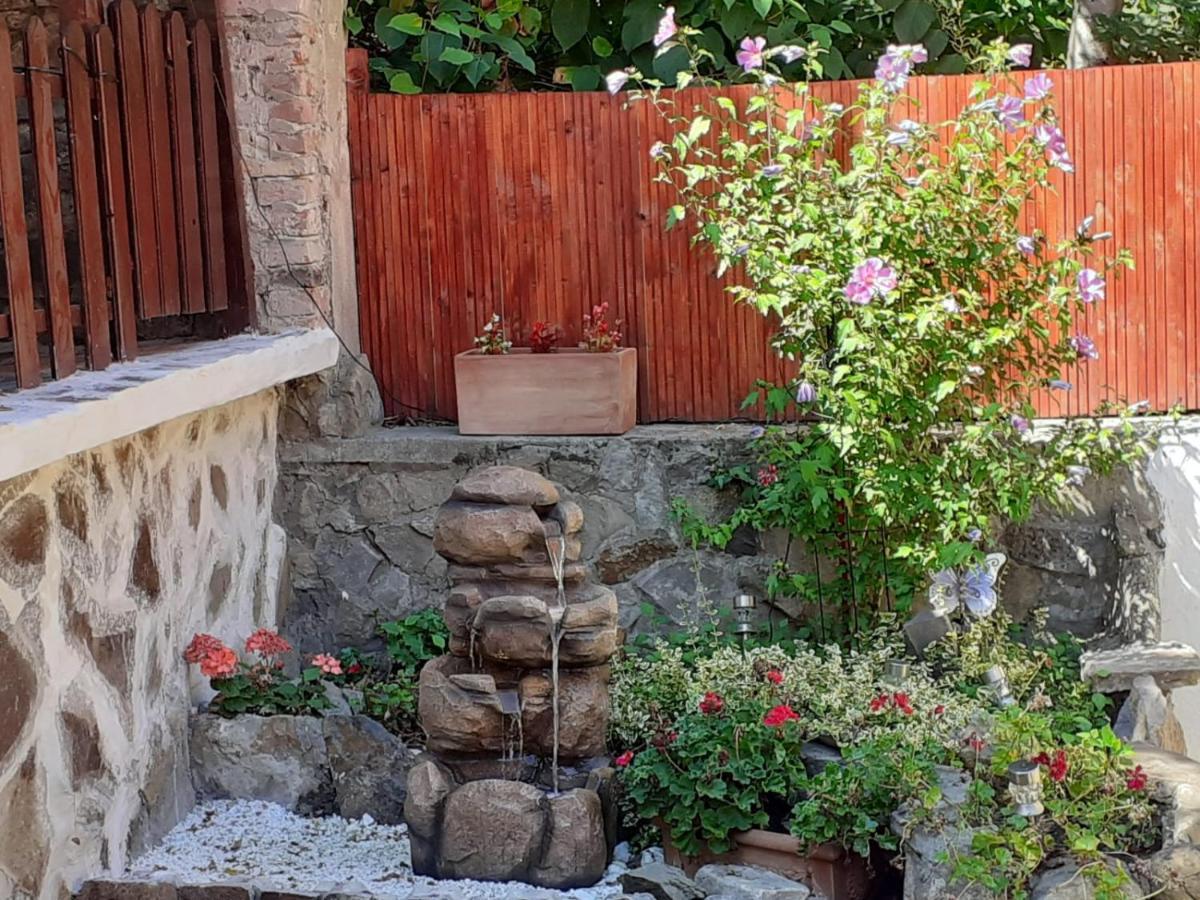 Apartment Gloria Sighisoara