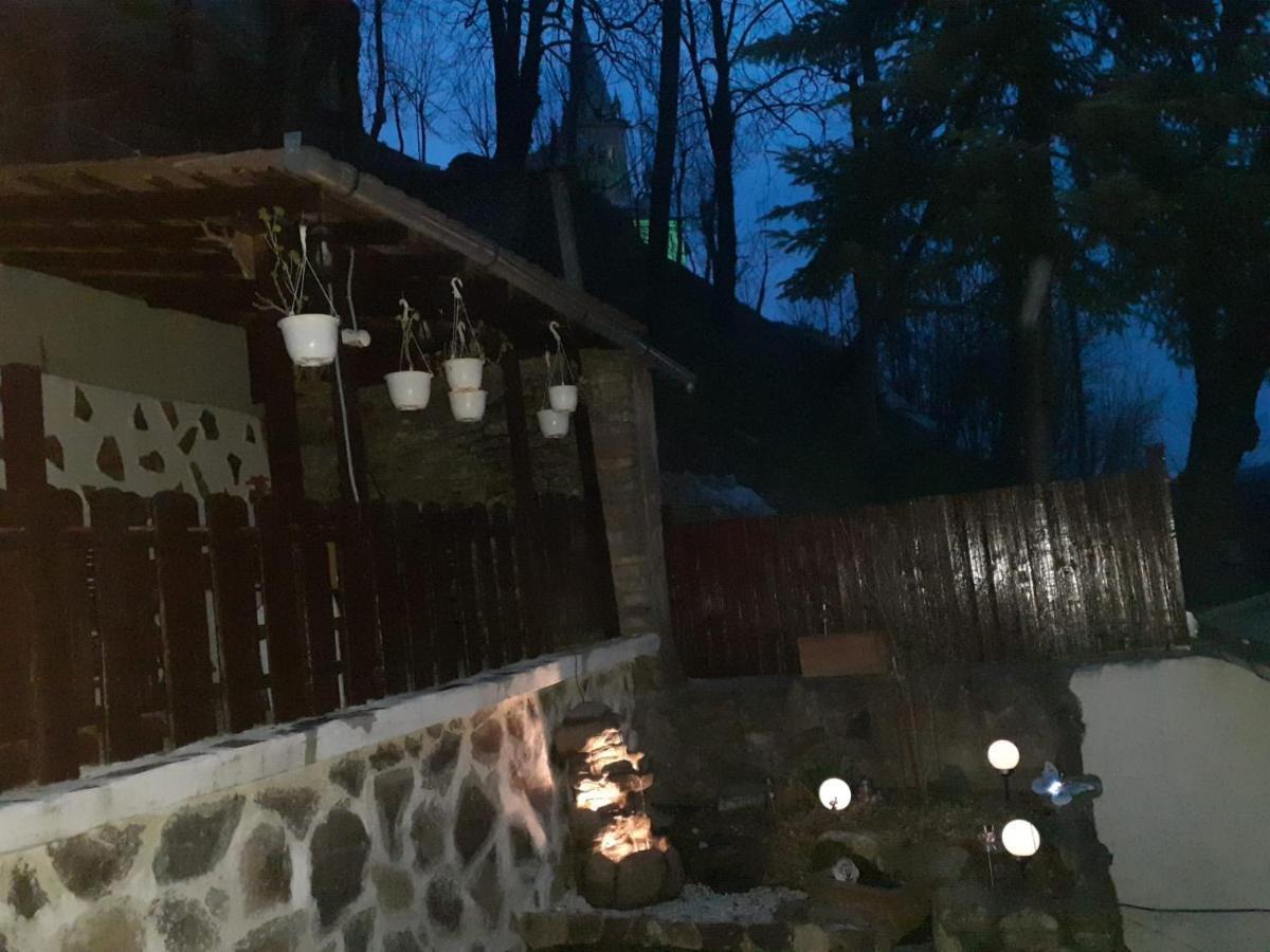 Gloria Sighisoara