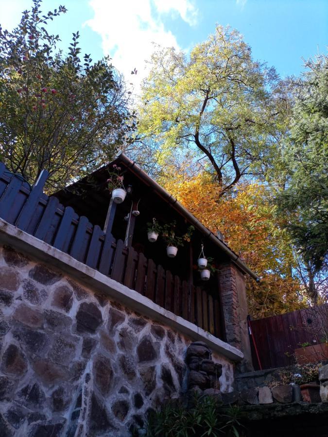Apartment Gloria Sighisoara